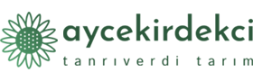 Tanrıverdi Tarım Kayseri Ayçekirdeği ve Kabakçekirdeği